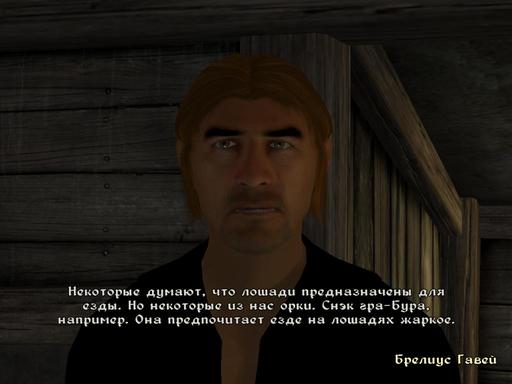 Elder Scrolls IV: Oblivion, The - Дневник имперского гастарбайтера. Том второй.