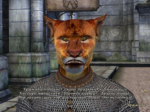 Elder Scrolls IV: Oblivion, The - Дневник имперского гастарбайтера. Том второй.